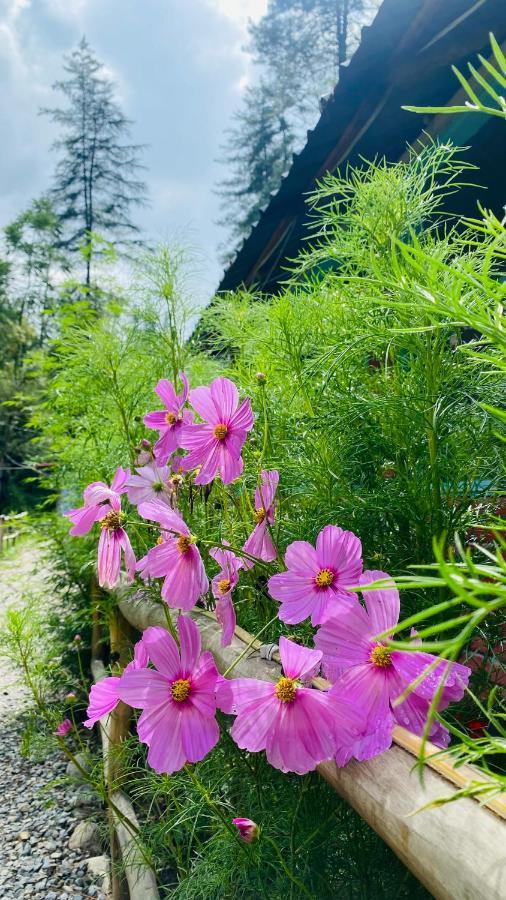 Himtrek Riverside Camps, Kasol Exteriér fotografie